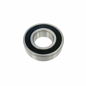 BALERO 6004 2RS 10 PZS
