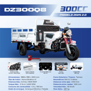 MOTOCARRO 300CC